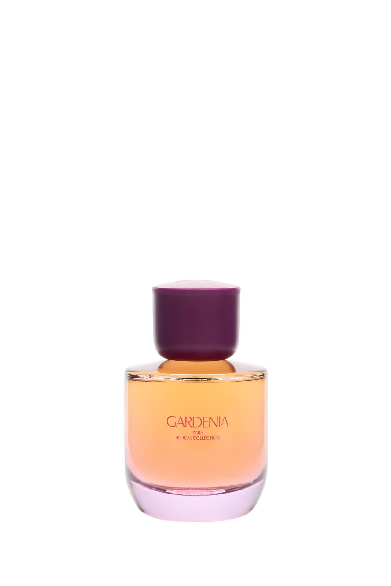 GARDENIA